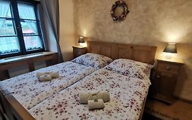 Apartmany U Koudelnika